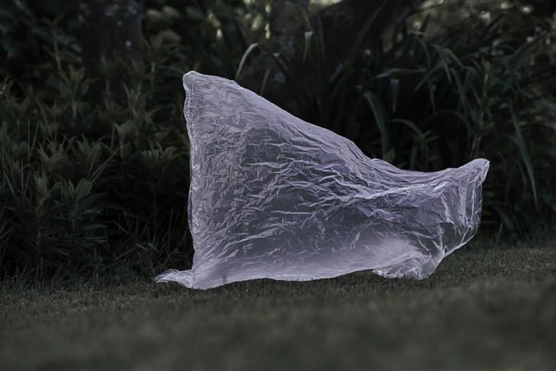 Patrick LEVEQUE - Photographe